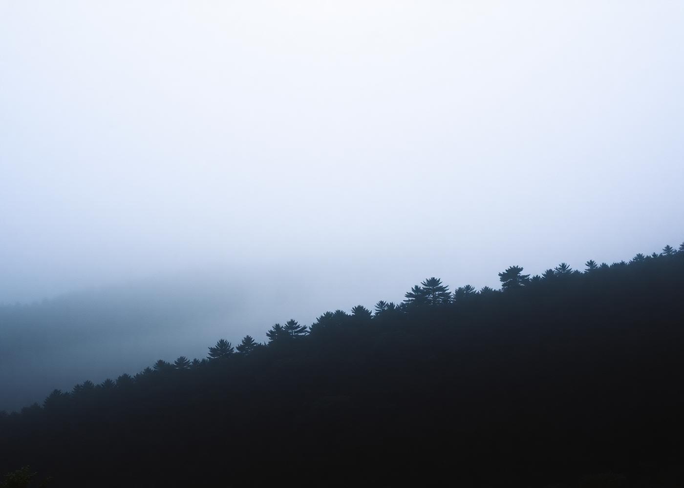 Fog rolling over a dark ridge of pine trees at dawn